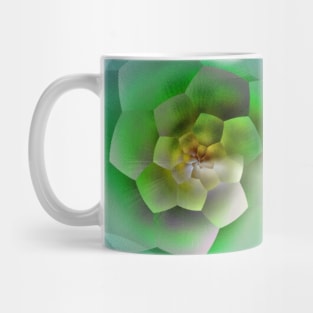 Succulent Desert Rose Rainbow Mug